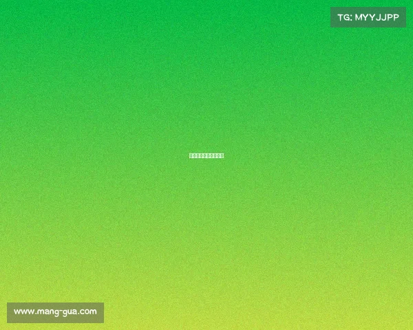 象棋业余比赛赛事安排